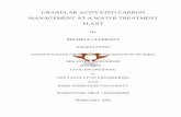 GRANULAR ACTIVATED CARBON MANAGEMENT AT … · GRANULAR ACTIVATED CARBON MANAGEMENT AT A WATER TREATMENT PLANT By MICHELE CLEMENTS DISSERTATION submitted in partial fulfillment of