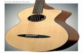 Schertler SM Electro Acoustic. · Schertler SM Electro Acoustic ... like the unplugged sound, which is very ... I played keyboard, piano, acoustic guitar and then