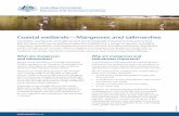 Coastal wetlands—Mangroves and saltmarshes · environment .gov.au WAT401B.0916 Coastal wetlands—Mangroves and saltmarshes Australia’s mangroves and saltmarshes are ecologically