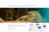 Good Practices for the Collection of Biodiversity … · of a project, applying the biodiversity mitigation hierarchy, and designing the long-term biodiversity monitoring program