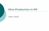 Okra production in ER - Afghan Agricultureafghanag.ucdavis.edu/.../exthortafgokraproductioneastregideappt.pdf · Okra Production in ER Okra or “Lady finger” is one of the most