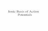 Ionic Basis of Action Potentials - The Medical …people.musc.edu/~woodward/Action Potential Lecture.pdf · Action Potential Characteristics 1) Threshold – an action potential is