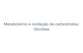 Metabolismo e oxidação de carboidratos: Glicólisedocentes.esalq.usp.br/luagallo/bioquimica dinamica... · 2013-10-23 · Lipídeos Proteínas Catabolismo 2 CO H 2 O ... Aminoácidos