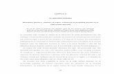 CAPÍTULO II LA HISTORIA AGRARIA Haciendas, …catarina.udlap.mx/u_dl_a/tales/documentos/lac/salas_l_mm/capitulo2.pdf · embargo, resulta fundamental para entender los procesos de