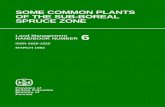 SOME COMMON PLANTS OF THE SUB-BOREAL SPRUCE ZONE · Canadian Cataloguing in Publication Data Pojar, Jim, 1948 Some common plants of the sub-boreal spruce zone (Land management handbook,