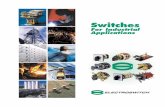 Switches for Industrial Applications Industrial Switch... · S mall Switches, Big Switches, Special Switches. Meeting cust-omers’ needs is our specialty. Tell us what you need,