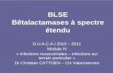 BLSE Bêtalactamases à spectre étendu · BLSE Bêtalactamases à spectre étendu D.U.A.C.A.I 2010 – 2011 Module IV « Infections nosocomiales – infections sur terrain particulier