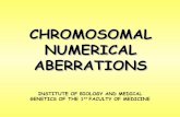 CHROMOSOMAL NUMERICAL ABERRATIONSbiol.lf1.cuni.cz/prez_letni/anum_ab.pdf · CHROMOSOMAL NUMERICAL ABERRATIONS ... disorders over to population risk. ... - CHROMOSOMAL ANALYSIS OF
