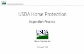 USDA Horse Protection · Selection of Horses • APHIS VMOs will inspect horses from a representative sample of the class types (i.e., Performance, Park Pleasure Performance, Country