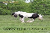 Gypsy Horse World Magazine Volume 10 No 1 Page 1 · 1611 Old Reno Road Springtown, TX 76082 ... mous of persons to donate monies, ... Arkansas, Arizona, Louisiana, New Mexico,