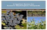 Irrigation Basics for Eastern Washington Vineyardscru.cahe.wsu.edu/CEPublications/EM061E/EM061E.pdf · Irrigation Basics for Eastern Washington Vineyards. 1 ... is produced in the