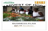 BUSINESS PLAN - ruaf.org plan Harvest of... · 1.0 Executive Summary Harvest of Hope ... The vegetables are grown by mainly contracted farmers that harvest them early in the morning