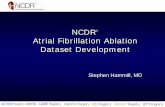 NCDR Atrial Fibrillation Ablation Dataset Development · Workgroup Members – Stephen Hammill (Mayo), Chair – Sana Al-Khatib (Duke) – Alan Kadish (Northwestern) – Peter Kowey