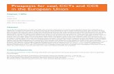 Prospects for coal, CCTs and CCS in the European Union for coal... · Prospects for coal, CCTs and CCS ... IP intermediate pressure ... Prospects for coal, CCTs and CCS in the European