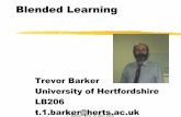 blended learning - CSS comqtb/blended learning01.pdf · PDF filea“Blended Learning ... `Information `Study skills `Learning objects `Learning tasks `Learning strategies `Formative