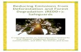 Reducing Emissions from Deforestation and Forest ...naturaljustice.org/wp-content/uploads/2015/09/REDD_SAFEGUARDS... · i Reducing Emissions from Deforestation and Forest Degradation