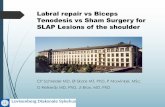 Labral repair vs Biceps Tenodesis vs Sham Surgery for SLAP ... schrøder labrumskader... · suspecting a Type II SLAP lesion, verified by arthro-MRI ... ´ Endpoint 6 months and 2