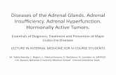 Diseases of the Adrenal Glands. Adrenal Insufficiency ... · PDF fileDiseases of the Adrenal Glands. Adrenal Insufficiency. Adrenal Hyperfunction. ... pituitary gland, ... •Congenital