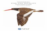 national fish and wildlife foundation - Welcome to the ... · As the National Fish and Wildlife Foundation (NFWF) begins its fourth decade of building conservation partnerships between