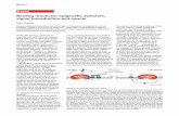 Binding reactions: epigenetic switches, signal ...€¦ · on DNA. For example, in a lysogen repressor must bind to its designated sites in DNA and, more precisely, it must bind predominantly