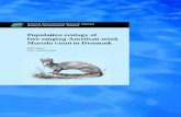 Population ecology of free-ranging American mink … · Denmark. 30 pp. ... Sussi Hansen at the Natural History Museum ... The American mink Mustela vison is not a native species