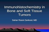 Immunohistochemistry in Bone and Soft Tissue Tumors in Bone and Soft... · Primary Bone Tumors • Although the diagnosis is based primarily on clinical, radiological and histological