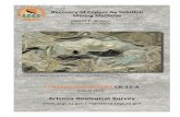 Recovery of Copper by Solution Mining Methodsrepository.azgs.az.gov/.../cr-15-a_in_situ_copper.pdf · 2015-07-23 · 2 Recovery of Copper by Solution Mining Methods Solution mining