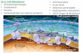 Ch 5. Cell Membrane Cell boundary Phospholipid … · Ch 5. Cell Membrane ... Figure 7.3 Phospholipid bilayer Hydrophobic regions of protein Hydrophilic ... Figure 5.18 –Active