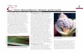 Corn Disorders: Smut and Rust (A3800) - The …learningstore.uwex.edu/assets/pdfs/A3800.pdf · 2016-08-30 · C Common smut is caused by the fungus Ustilago maydis and is the most