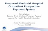Proposed Medicaid Hospital Outpatient Prospective Payment ...hthu.net/.../2017/02/EAPG-Presentation-by-Tom-Wallace_022017.pdf · Proposed Medicaid Hospital Outpatient Prospective