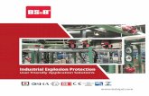 Industrial Explosion Protection - BS&B .3 Active Explosion Protection Solutions Explosion Suppression
