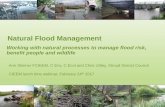 Natural Flood Management - CIEEM€¦ · Natural Flood Management Ann Skinner FCIEEM, C Env, C Ecol and Chris Uttley, Stroud District Council CIEEM lunch time webinar, February 24th