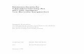 Immunochemische Charakterisierung des p83/100 …bibd.uni-giessen.de/gdoc/2001/uni/d010051.pdf · Immunochemische Charakterisierung des p83/100-Antigens von Borrelia burgdorferi Inaugural-Dissertation