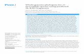 Whole genome phylogeny for 21 Drosophila species … · Whole genome phylogeny for 21 Drosophila ... strands of double-stranded DNA upstream and ... Whole genome phylogeny for 21