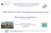 CHIK Outbreak in Italy: Virological and Diagnostic Issues ...dspmi.uniroma1.it/sites/default/files/CHIK2017, CAPOBIANCHI... · CHIK Outbreak in Italy: Virological and Diagnostic Issues