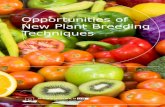 Opportunities of New Plant Breeding Techniques · Opportunities of new plant breeding techniques | 3 Since the turn of the century several new tools and techniques have been invented