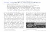 A circular dielectric grating for vertical extraction of ... · A circular dielectric grating for vertical extraction of single quantum ... QD density region of the sample. Three