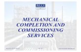 MECHANICAL COMPLETION AND COMMISSIONING SERVICESmccsinternational.com/upload/All Services 170523.pdf · mechanical completion and commissioning services ... pre-commissioning & commissioning