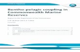 Bentho-pelagic coupling in Commonwealth Marine Reserves · 2.1 South-east Marine Region: a case study of bentho ... Bentho-pelagic coupling in Commonwealth Marine ... Bentho-pelagic