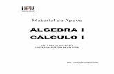 ÁLGEBRA I CÁLCULO I - academico.upv.clacademico.upv.cl/doctos/PLCO-6002/{4CFC1529-A418-4209-B8F9... · UNIVERSIDAD PEDRO DE VALDIVIA ... Prof. Haroldo Cornejo Olivar ... Todos los