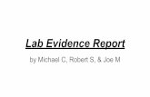 Lab Evidence Report - Joe Malliaras' STEM Websitejoemsanmarinstem.weebly.com/.../lab_evidence_report_presentation_.… · Lab Evidence Report by Michael ... June was the daughter