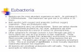 Eubacteria - Henriksen Science · Eubacteria Bacteria are the ... Archaebacteria more closely related to the Eukarya than are the Eubacteria.