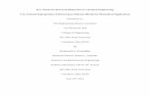 B.S. Thesis for Research Distinction in Chemical ... · The focus of this project is on the use of supercritical and subcritical CO2 ... of some synthetic polymers which is an added