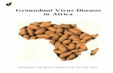 Groundnut Virus Diseases in Africaagropedia.iitk.ac.in/sites/default/files/RA 00186.pdfGroundnut Virus Diseases in Africa ... cooperative research programs to ... by this Group have