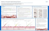 Validation of Quantitative Digital Pathology Analyses .Validation of Quantitative Digital Pathology
