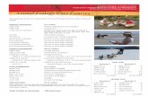 Animal Ecology Core Courses - nrem. PHYS 111 General Physics â€“For Vet ... BIOL 212 +Lab Principles