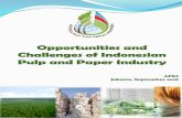 PULP AND PAPER INDUSTRY - PPT Group · allocated to pulp and paper sector 4,000,000 ha currently utilized, allowing 6,000,000 ha for expansion No. 10 ... Outlook Industri Pulp dan