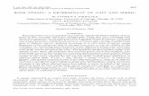 BONE STRAIN: A DETERMINANT OF GAIT AND SPEED?jeb.biologists.org/content/jexbio/123/1/383.full.pdf · BONE STRAIN: A DETERMINANT OF GAIT AND SPEED? BY ANDREW A. BIEWENER ... Concord