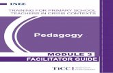Pedagogy - s3.amazonaws.coms3.amazonaws.com/inee-assets/resources/TICC_Training_Pack_Module… · including strategies suitable for large class size and multi-level or multi-grade