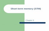 Short-term memory (STM) - Wofford Collegewebs.wofford.edu/boppkl/courseFiles/Cognition/CogPPT10_files/5_STM... · Short-term memory (STM) ... Fall 2010; N = 9 . Keppel &Underwood